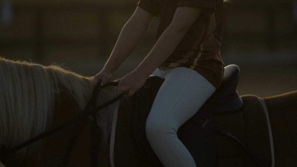 riding horse photo