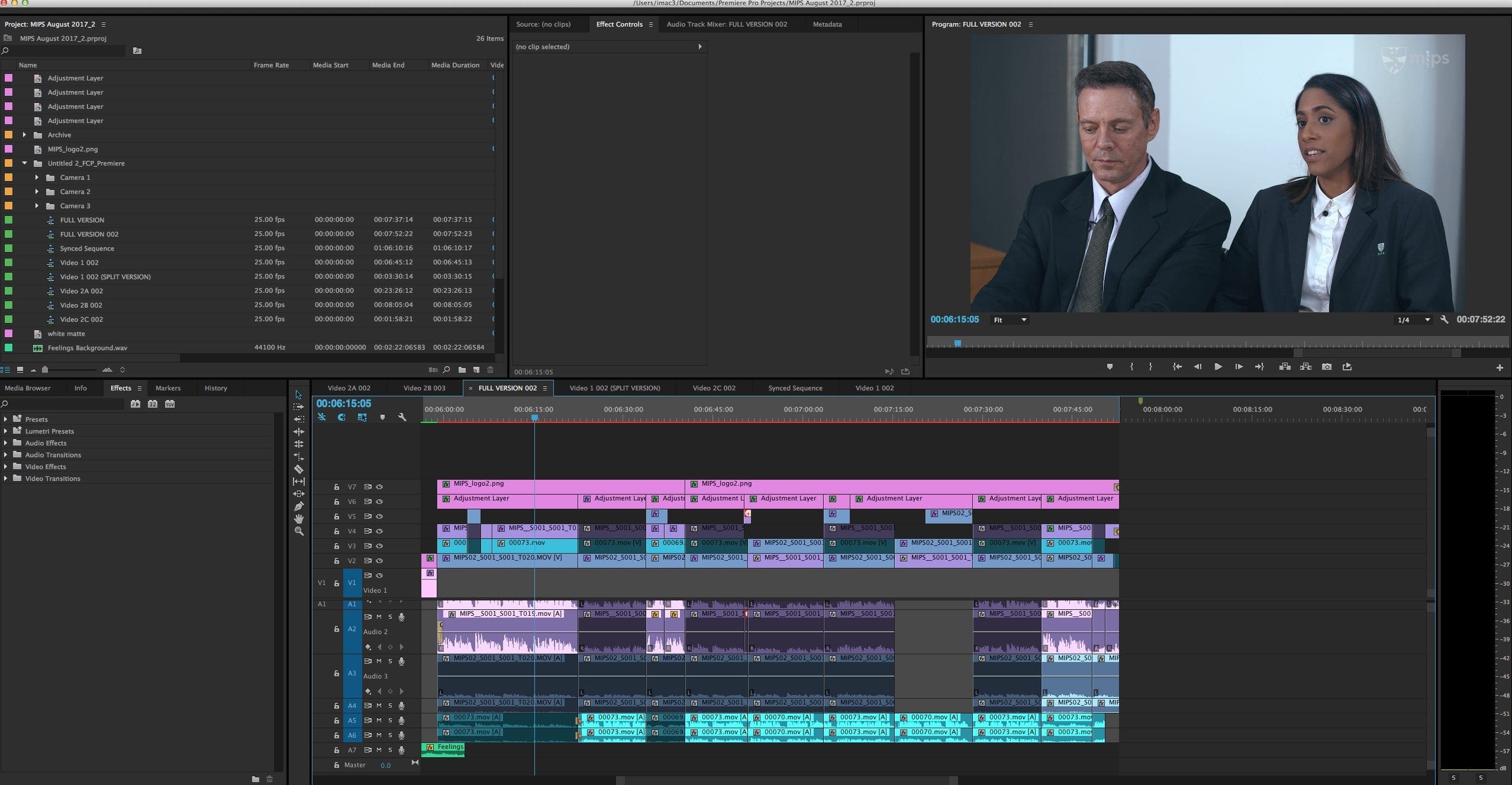 Dream Engine Premiere edit timeline used for final version and audio checks