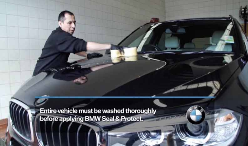 BMW technician polishing a car