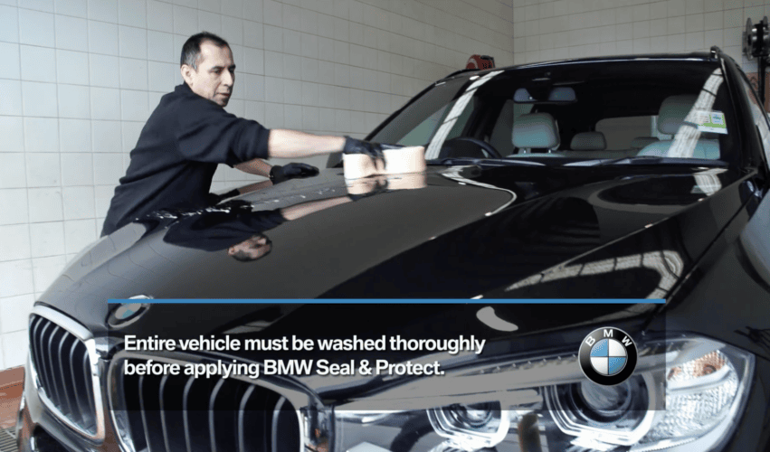 man polishing car