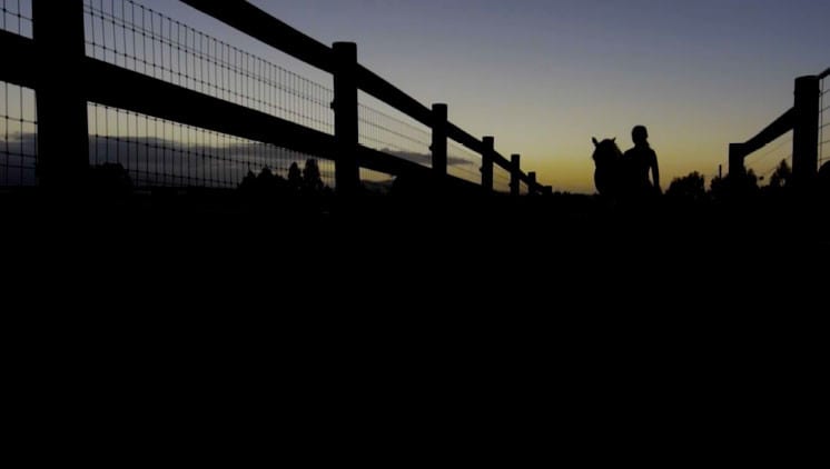 still image from Yarra valley video production