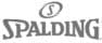 Spalding logo